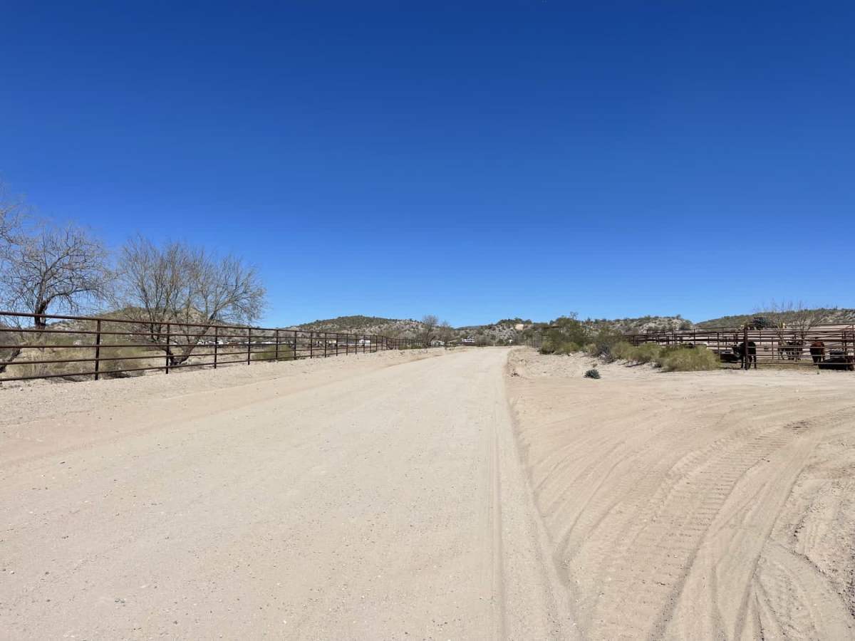 Lower Scenic Loop Road photo 6