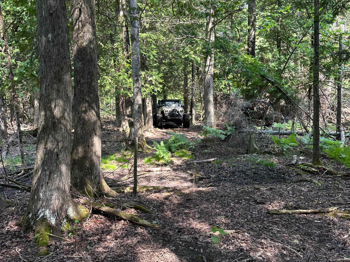 Less Traveled  photo 4