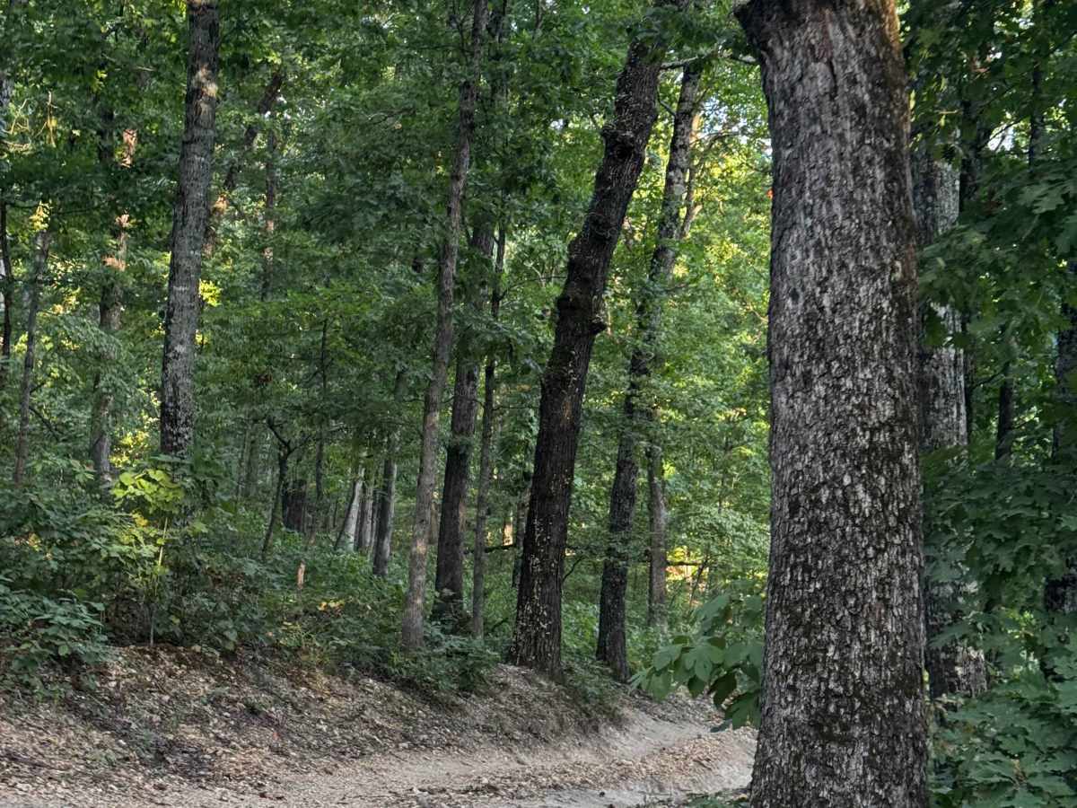 Short Track to Main Cut Thru photo 4
