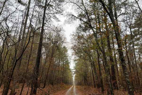 Ocmulgee Camp Loop