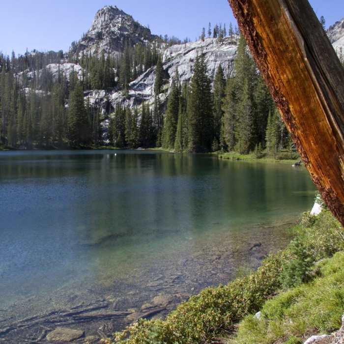 Near Alpine Creek Canyon