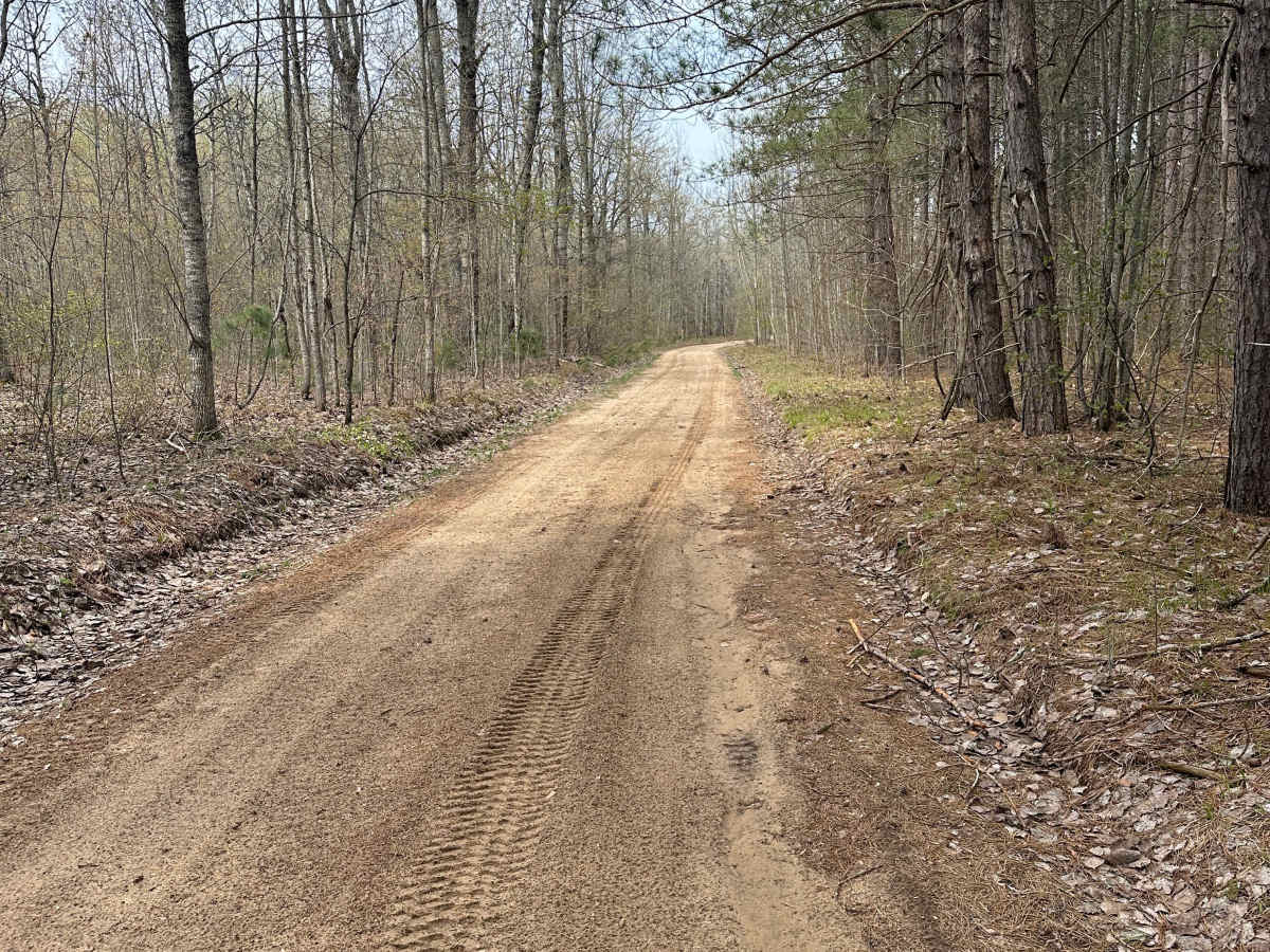 Blue Lake Road photo 6