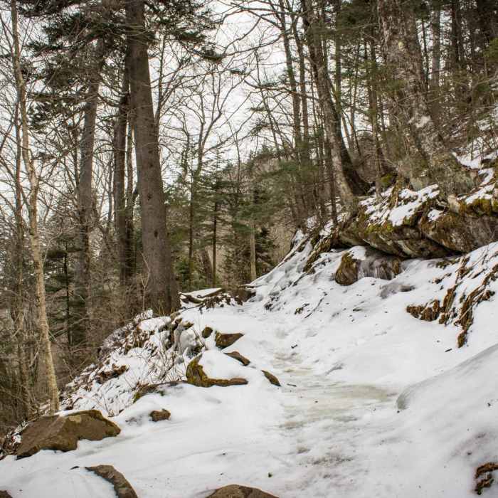 Near The Jump Off via The Appalachian Trail Near The Jump Off via The Appalachian Trail