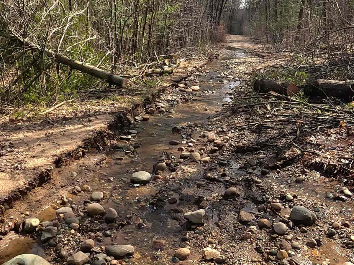 Alcona County Trail - ORV H7 photo 6