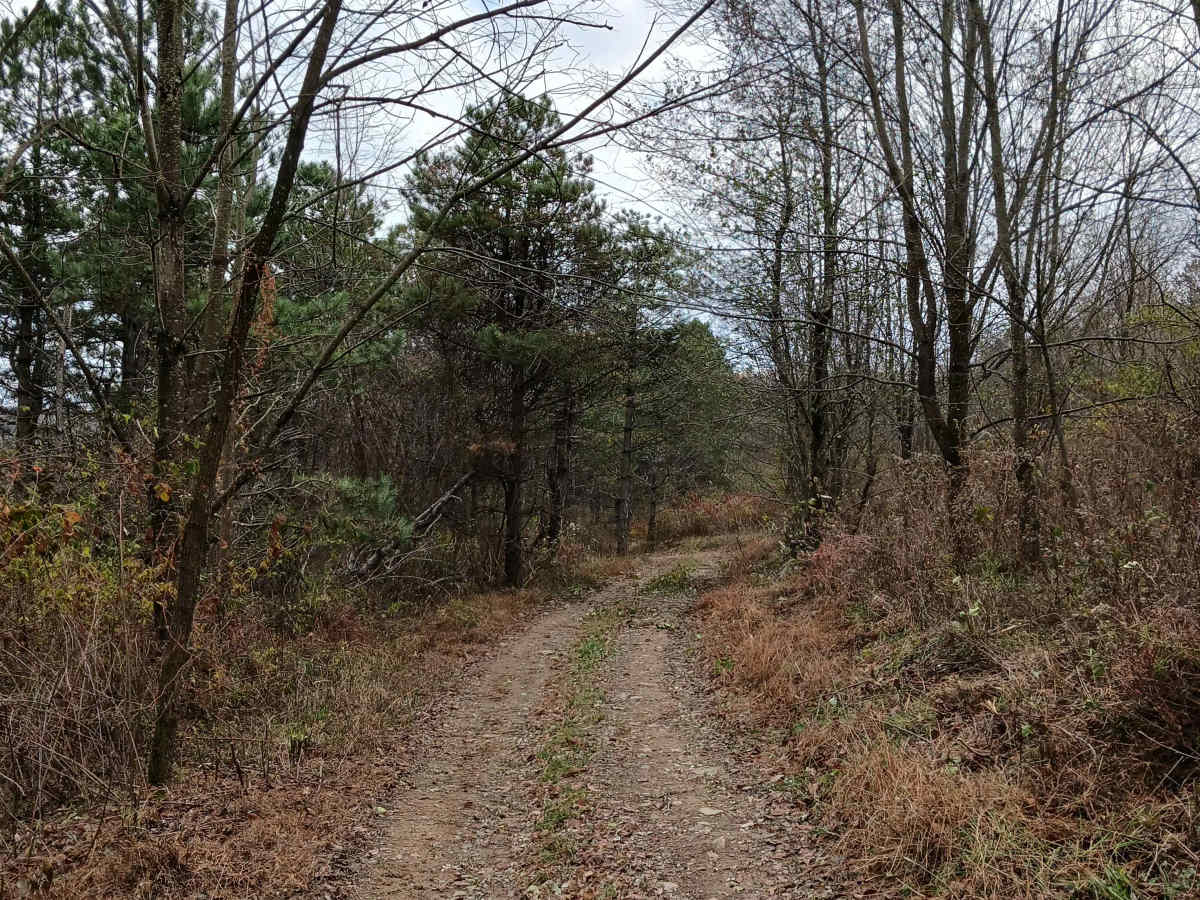Trail 11 - Rock Run Recreation Area photo 3