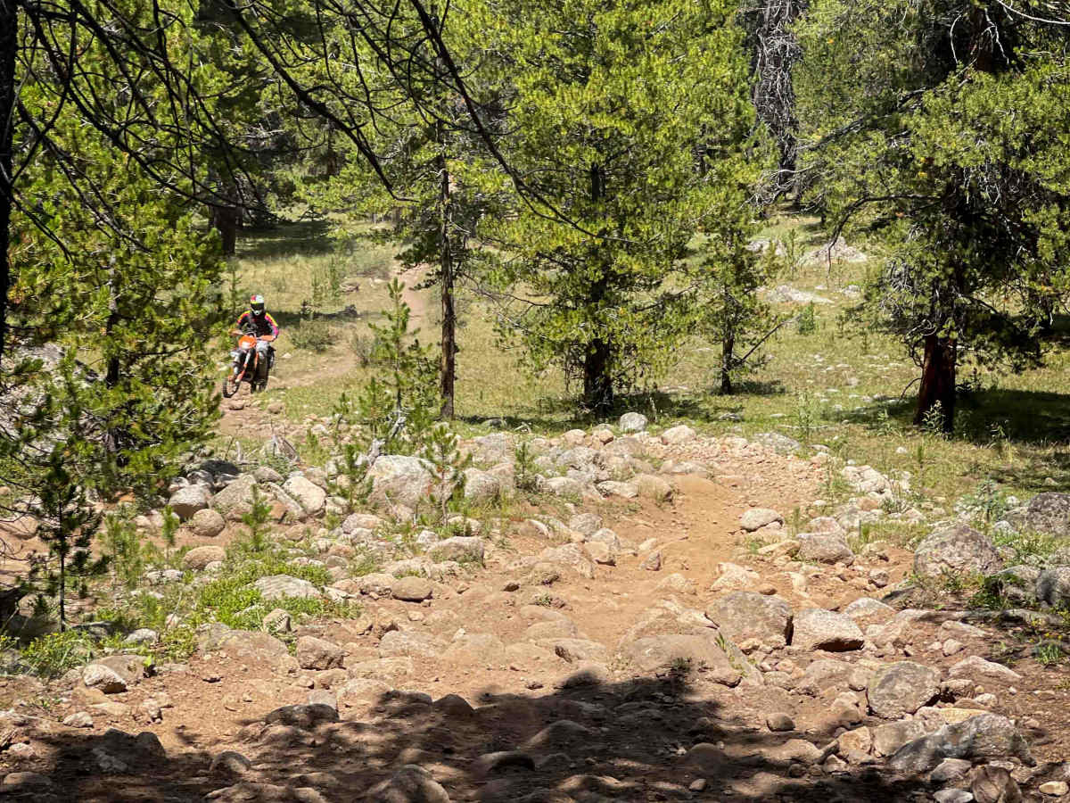 Lily Pond Trail photo 5