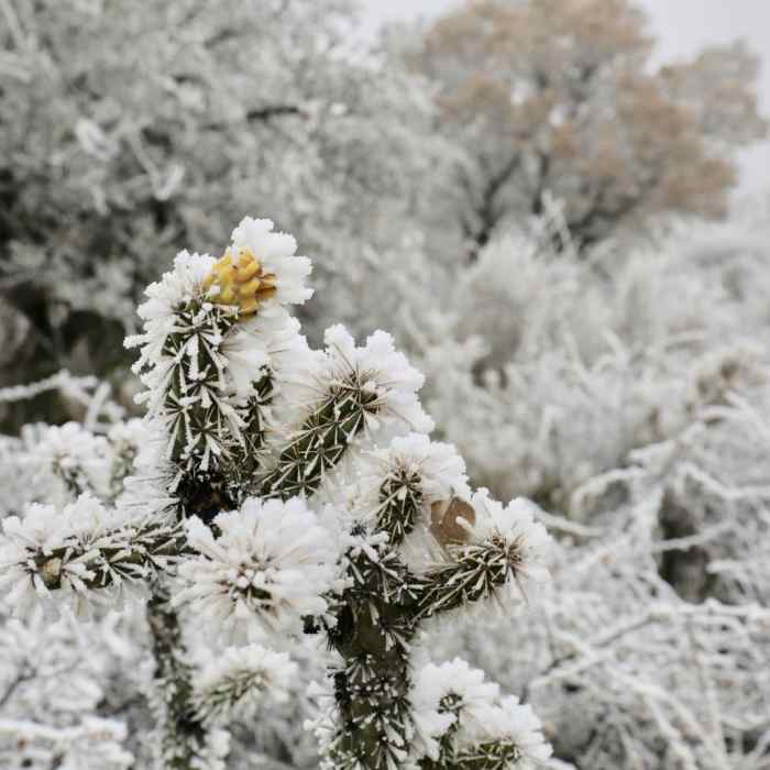 Near Devil's Hall Trail