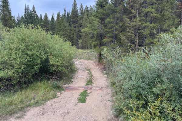 Jones Gulch Way Road