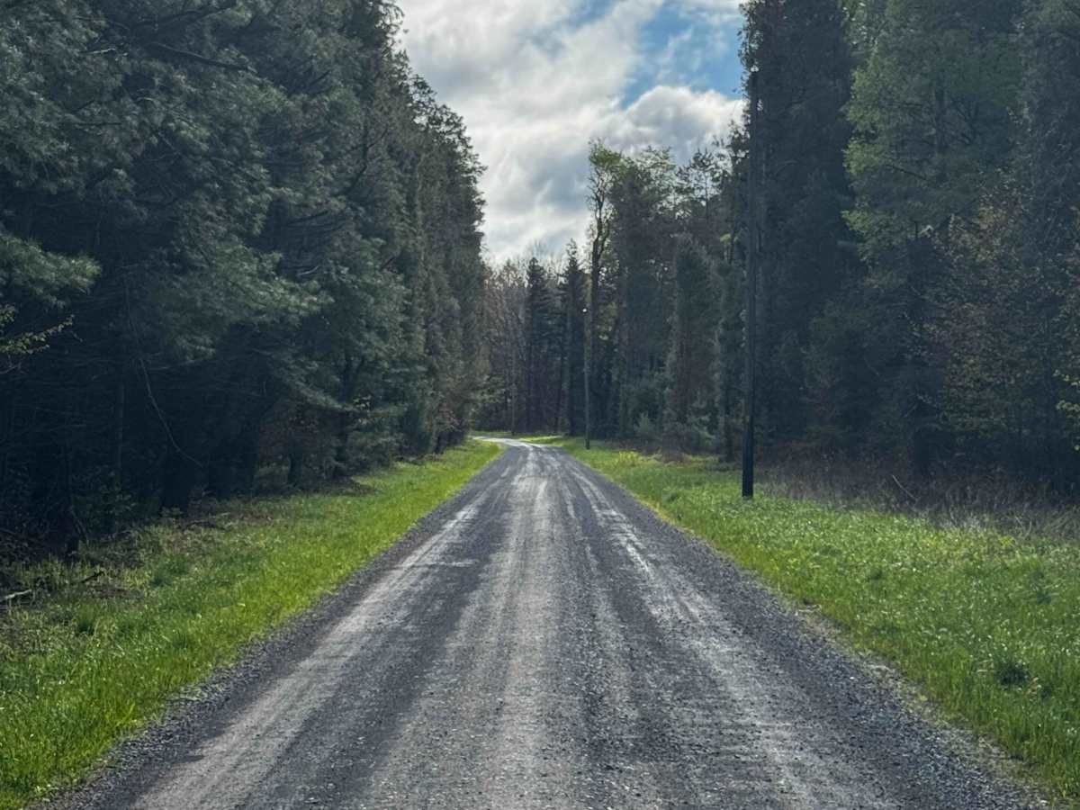 Wallace Mine Road photo 4