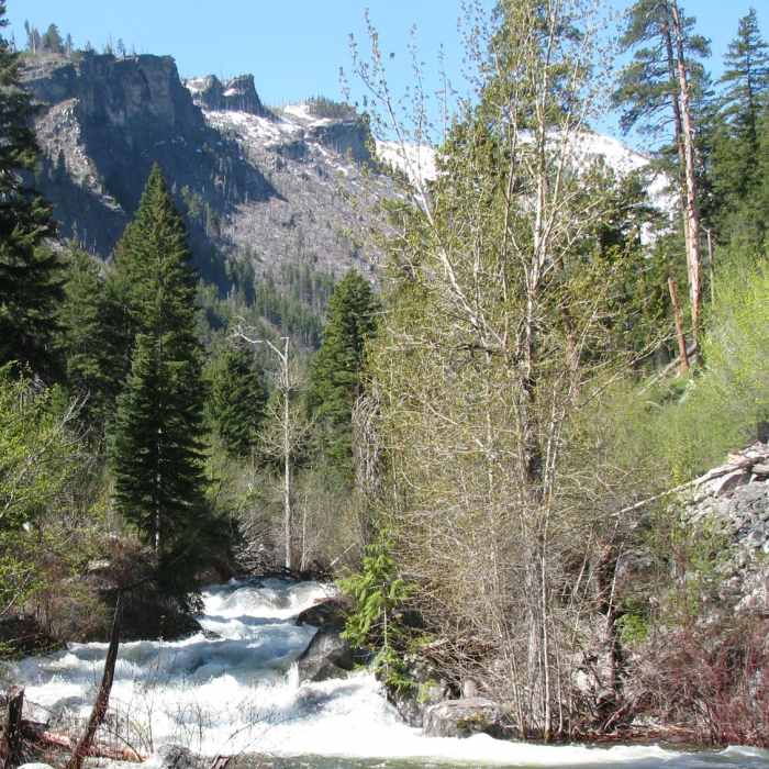 Near Mill Creek Falls via Mill Creek Trail