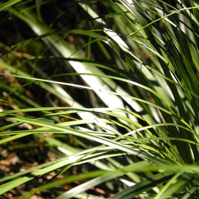 Near Serene + Rock Lakes