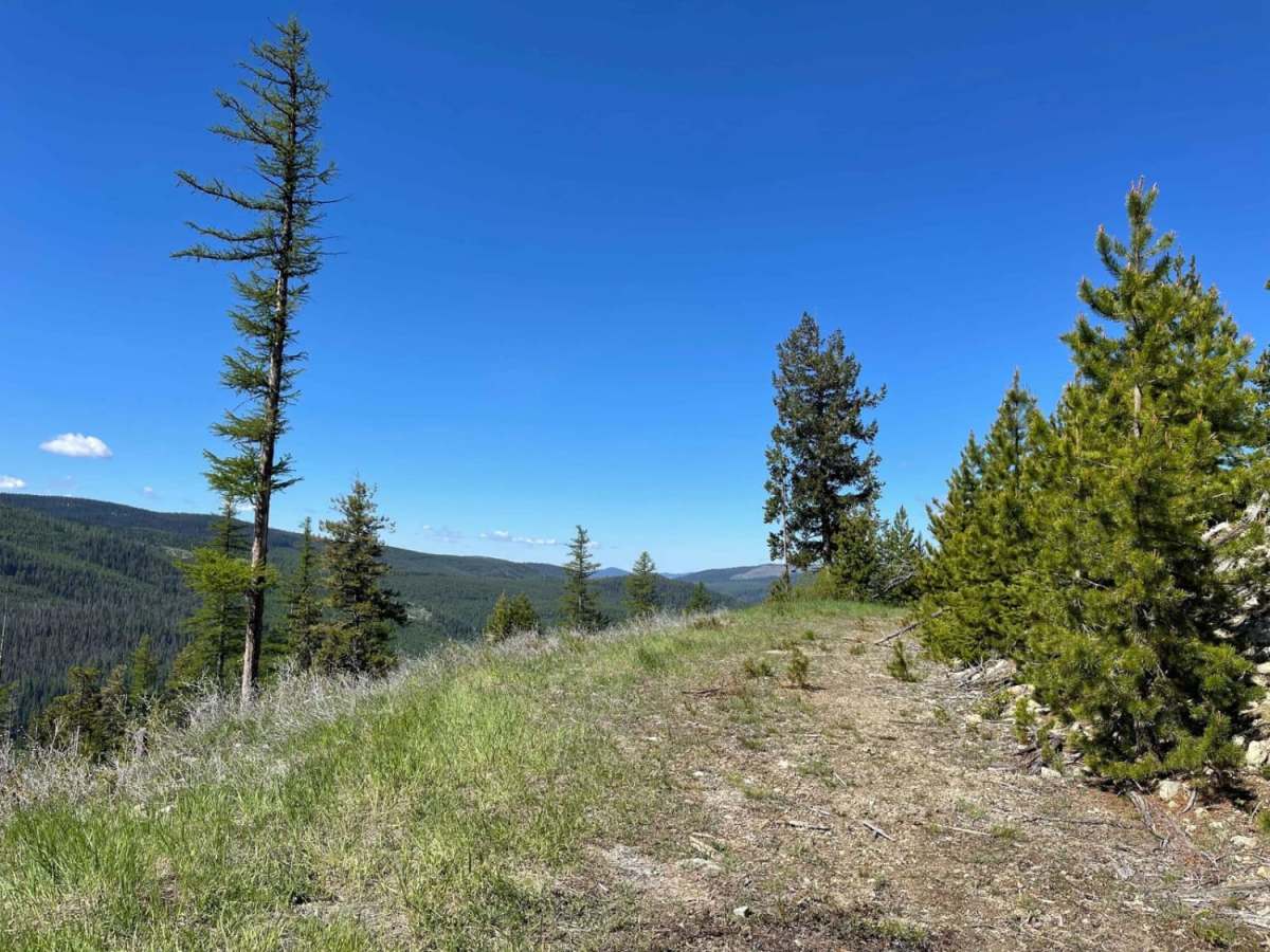 Butte Ridge photo 2