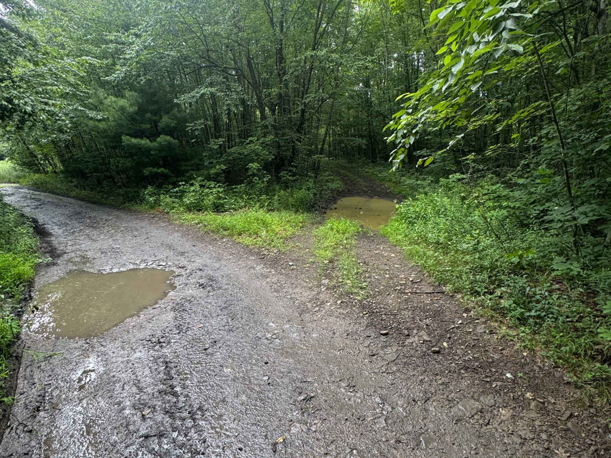 Trail 91 photo 4