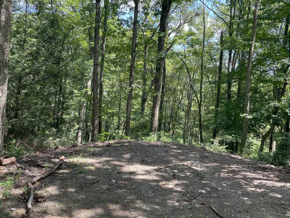 Running Gap Road photo 3