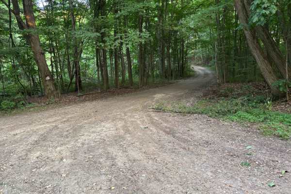Williams Road