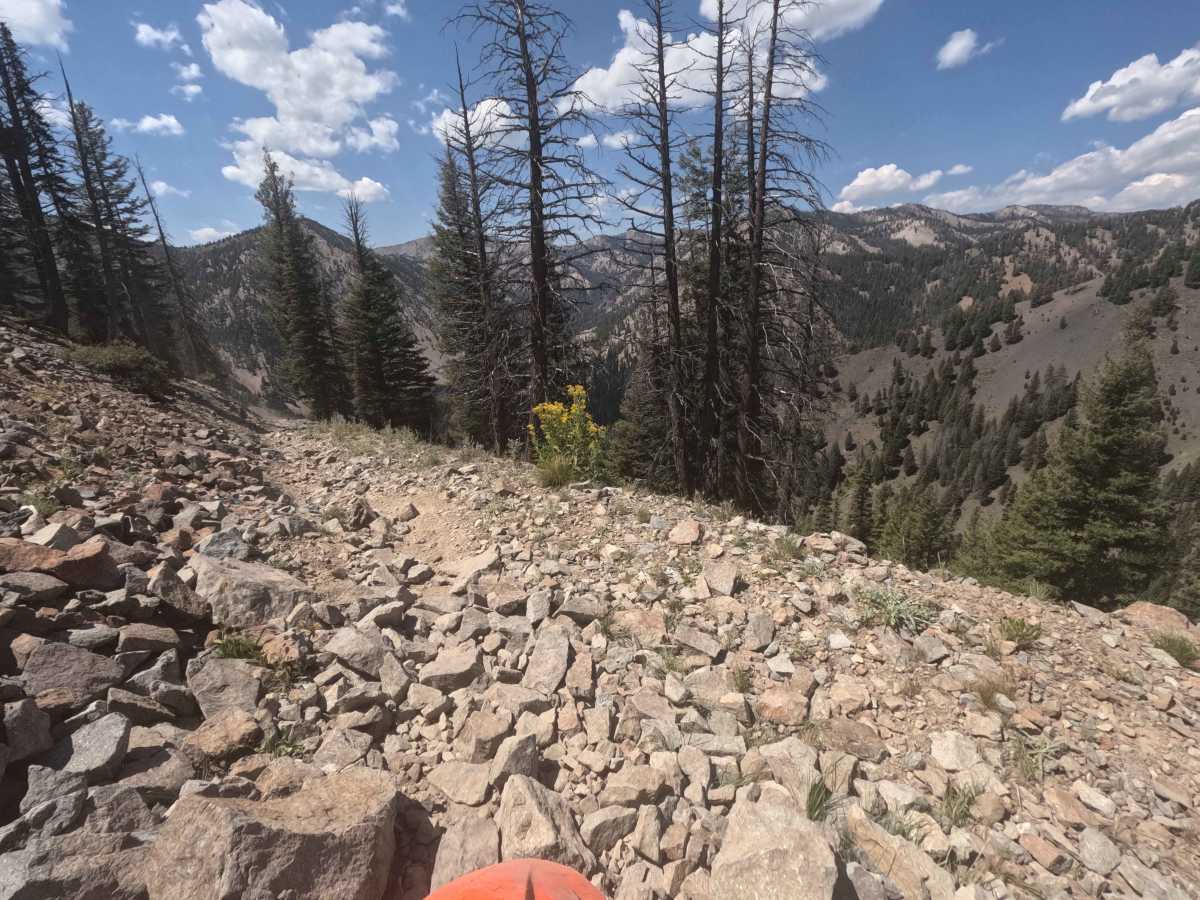 Mule Creek - FS 7198 photo 2