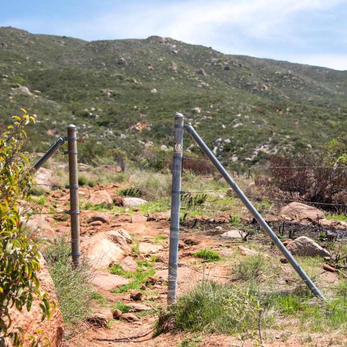 Near Viejas Mountain