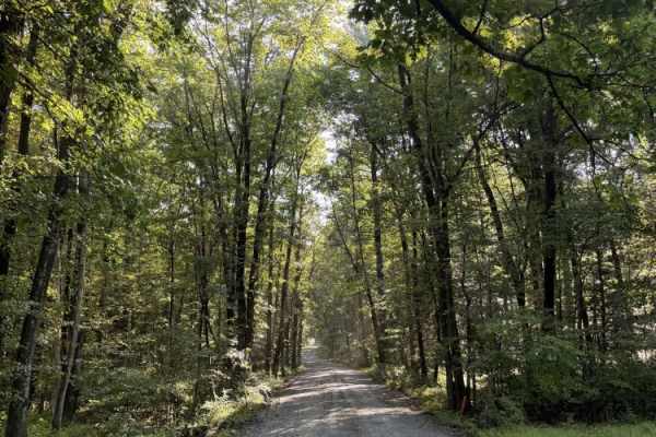 Hoffman Road