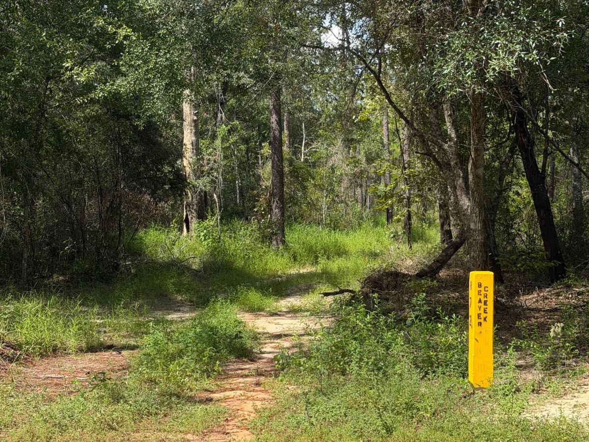 Blackwater River R72 trail photo