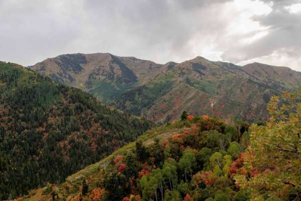 Butterfield Canyon