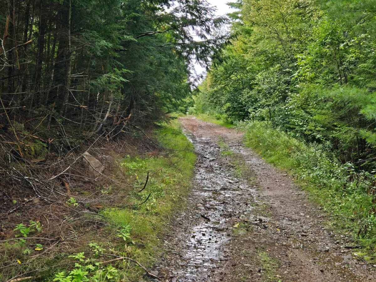Shaw Road photo 5