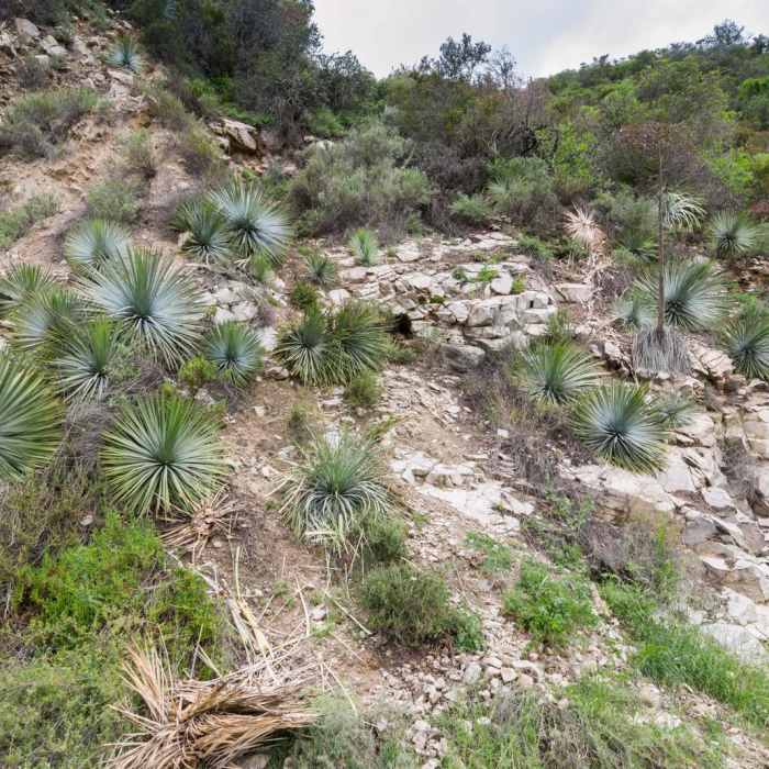 Near Sturtevant Falls