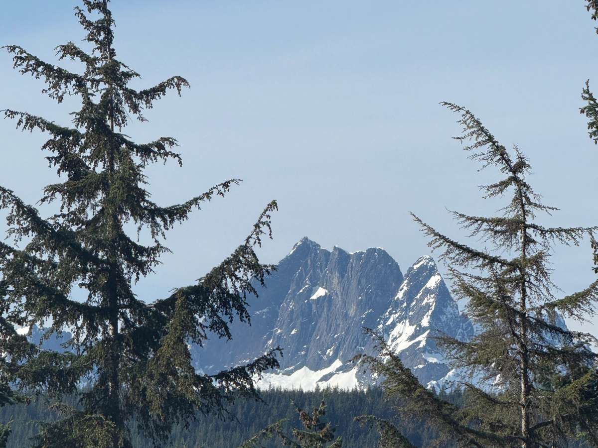Decline trail photo