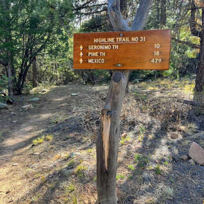 Near Mogollon Rim Loop