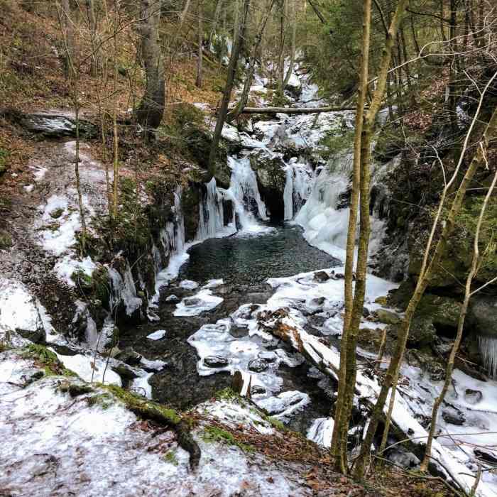 Near Blue Blaze Trail