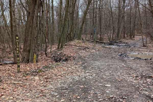 Trail 2F - Rock Run Recreation
