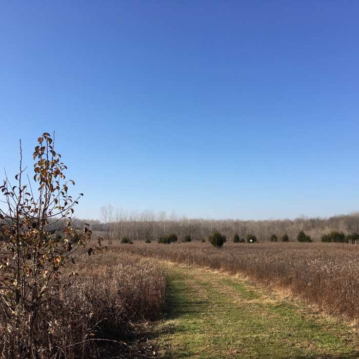 View across the Prairie Near Hisey Park Sampler Loop