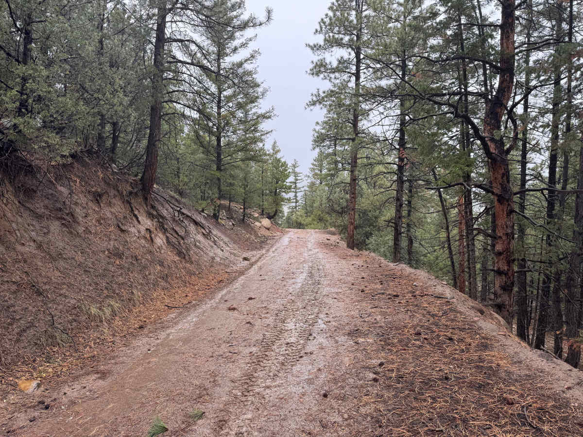 FS 635 trail photo