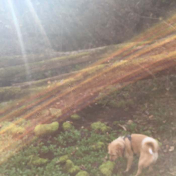 Near Wilderness Trail