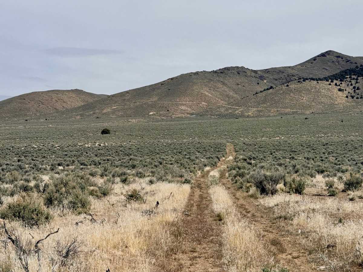 Amador Canyon photo 3
