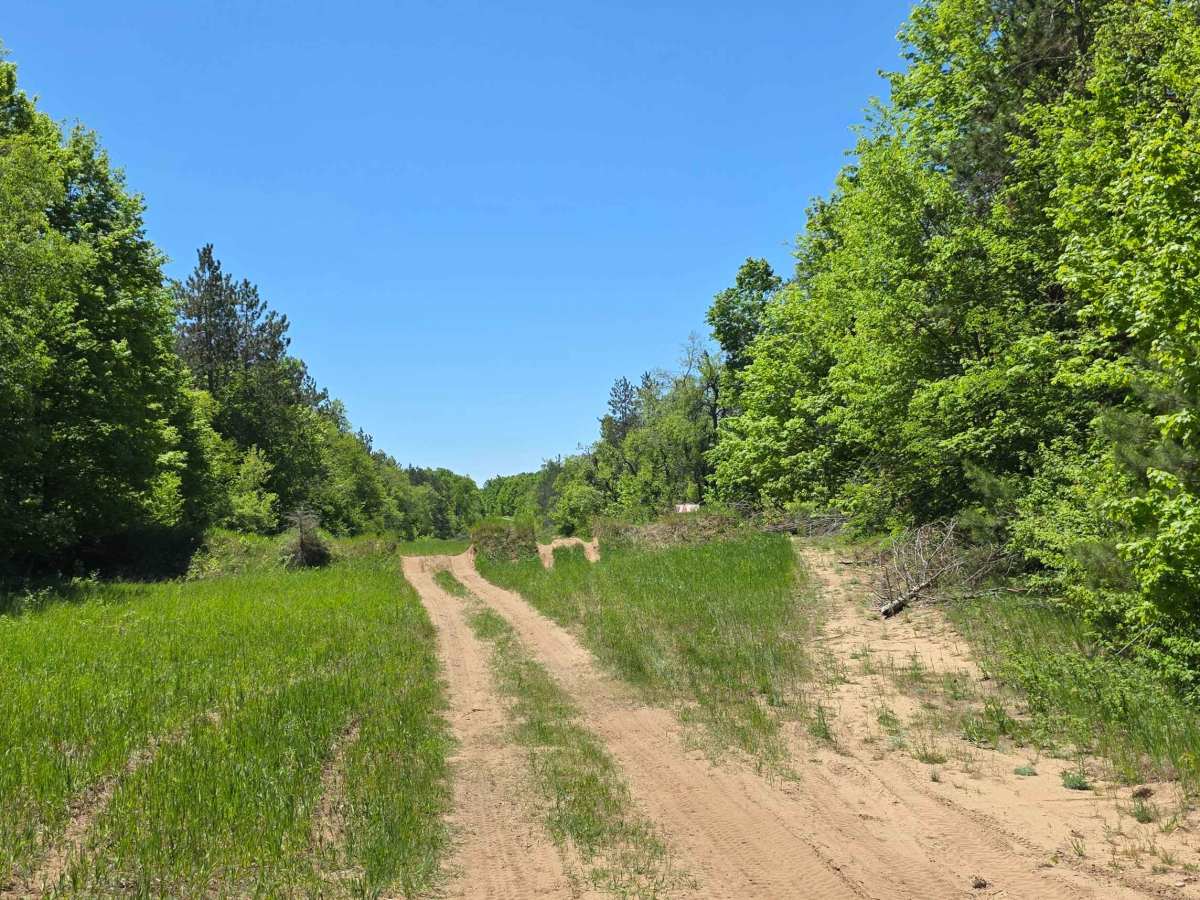 Pipeline Pass photo 5