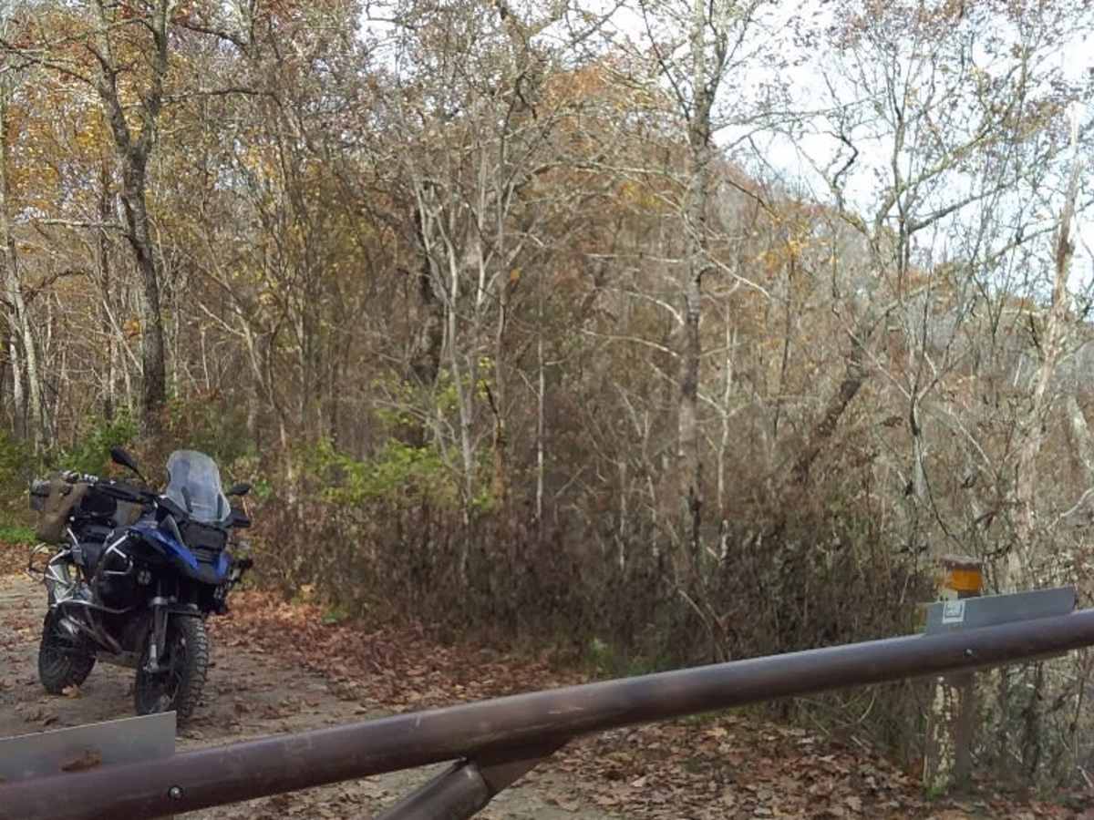 Cowee Bald photo 5