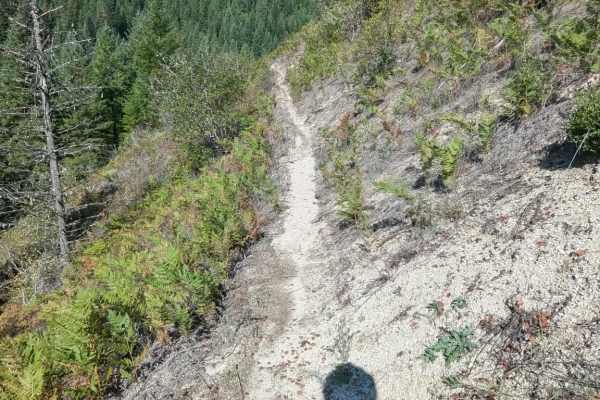 Fish Creek