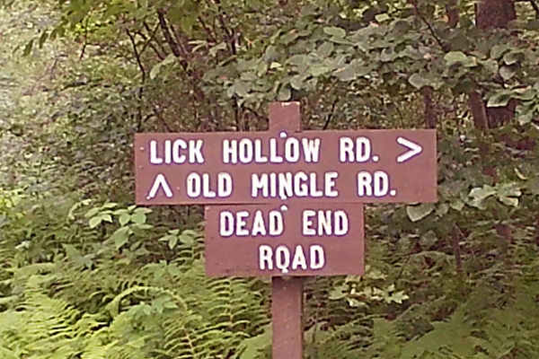 Lick Hollow Road