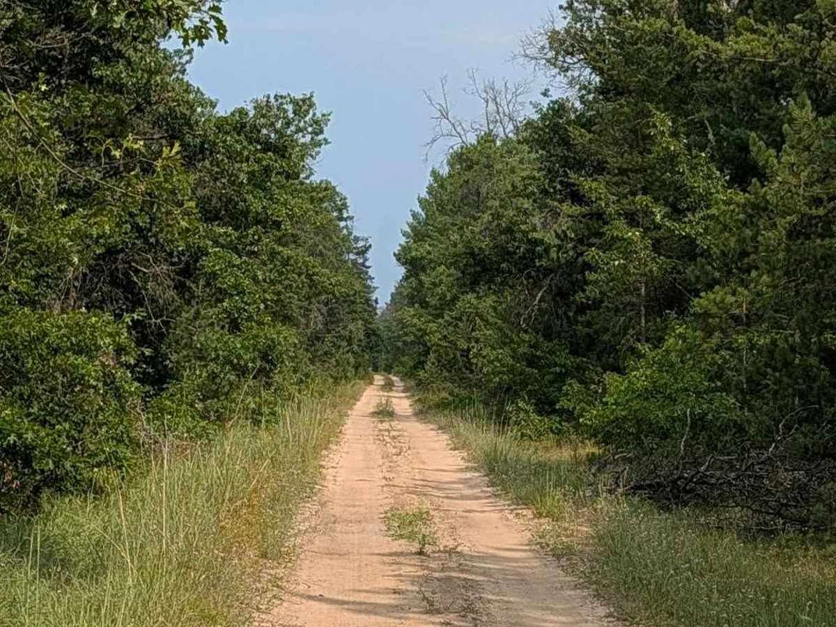 Esmond Road - FS 4405 photo 3