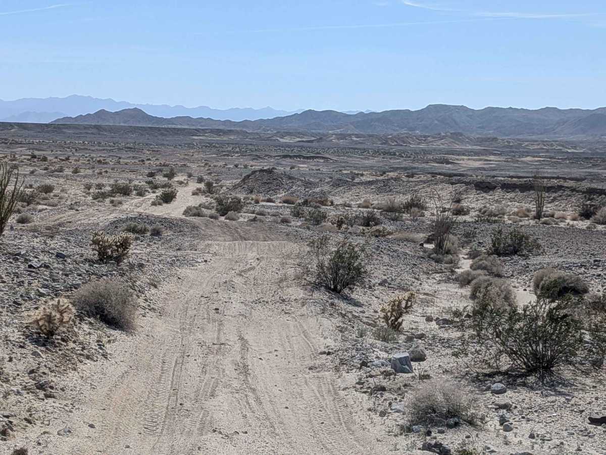 BLM 079 photo 3