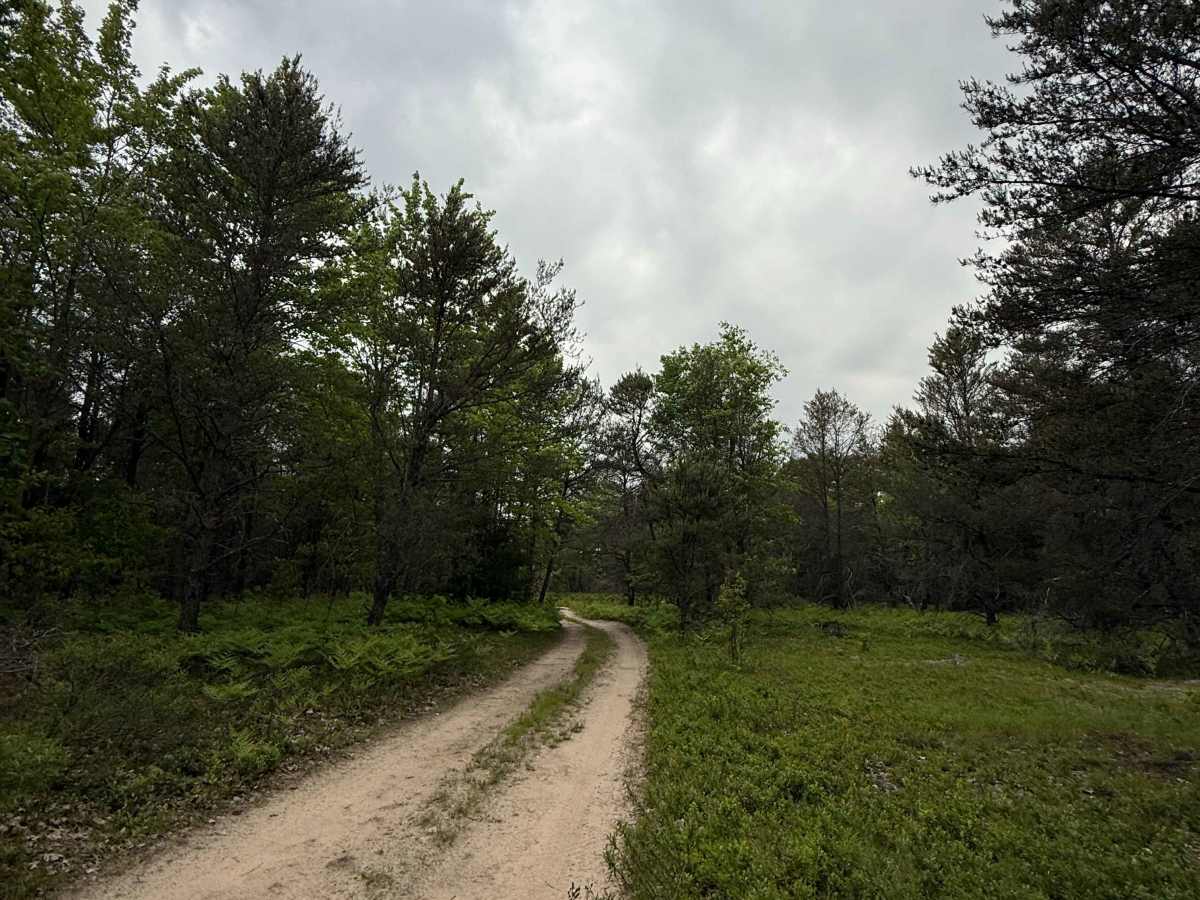 Twisters Trail photo 4