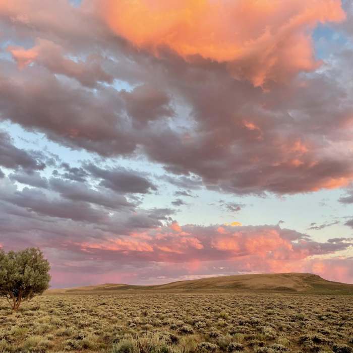 Near Continental Divide Trail: Wyoming Section 6