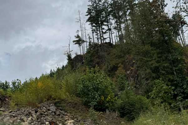 Francis Lake Back Entry