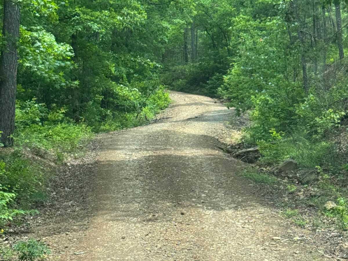 Oak Mountain Road trail photo