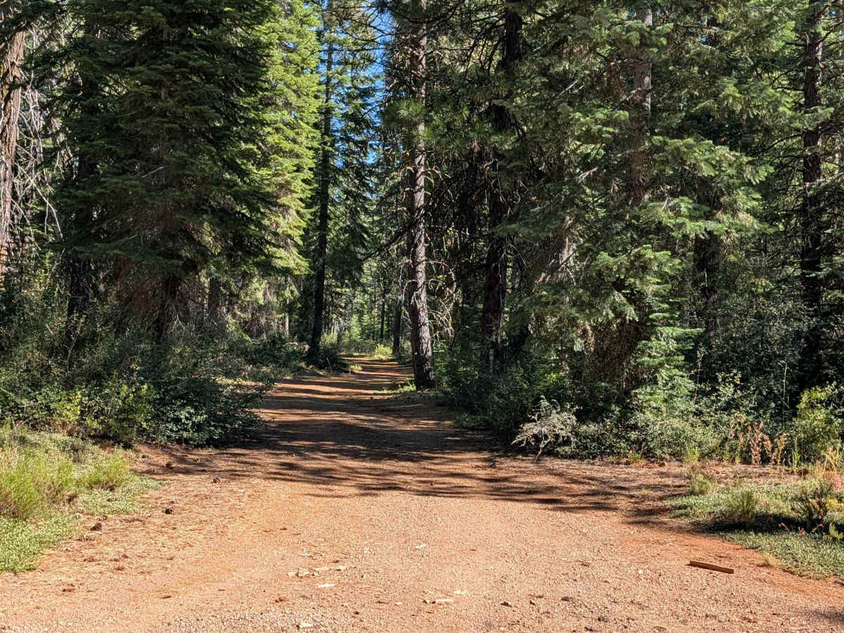 White Deer Well - FS 42N80 trail photo