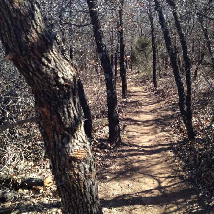 Near Blue Loop