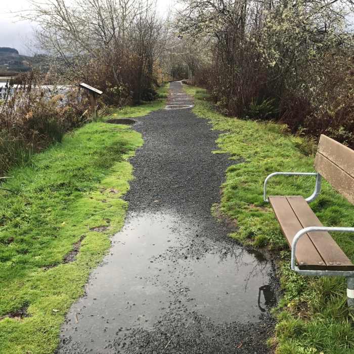 Near Silver Lake Wetland Haven Trail