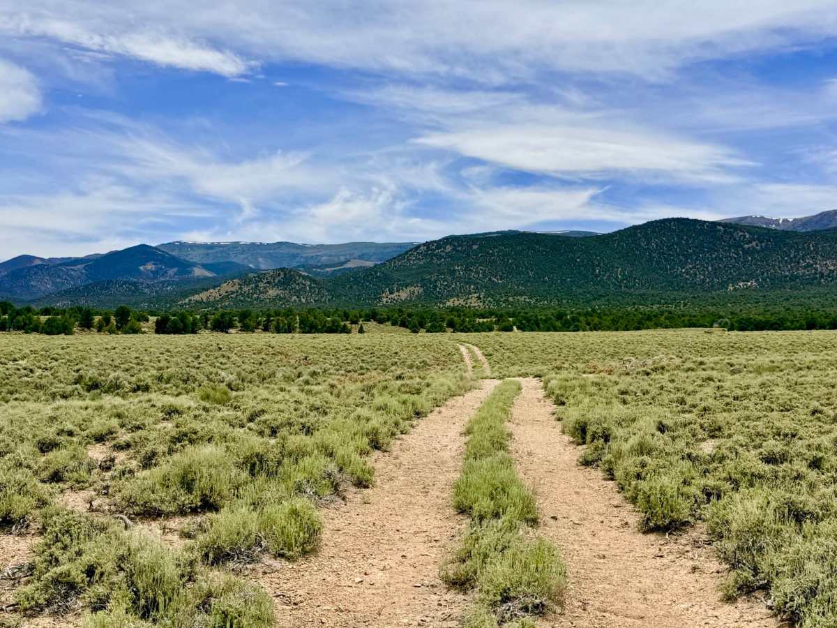 Sawmill Creek Loop Road - FS 44424 photo 6