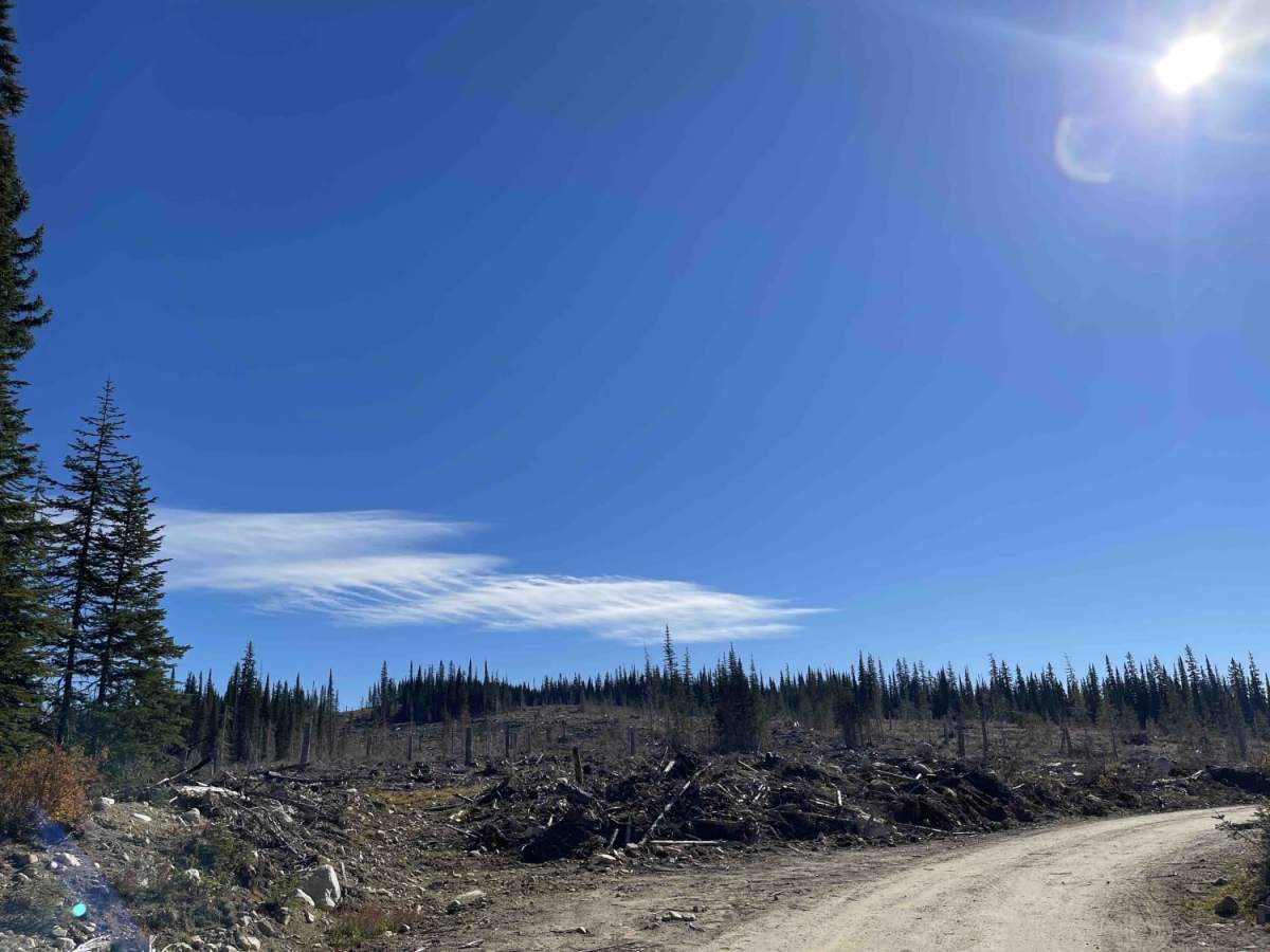 Spa Hills FSR trail photo