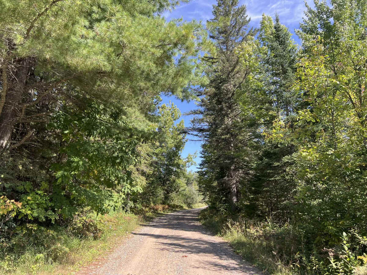 Rat River Road - FS 2134 photo 6